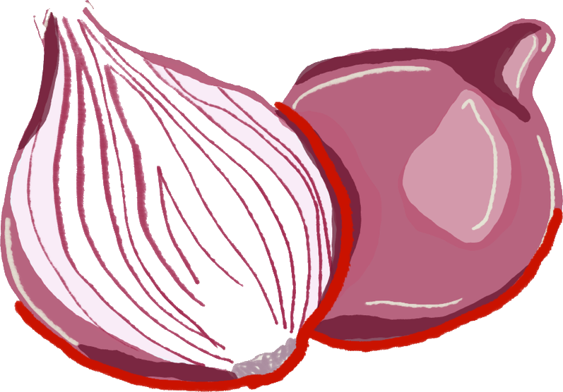 Ilustração de cebola