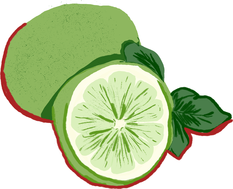 Ilustração de limão
